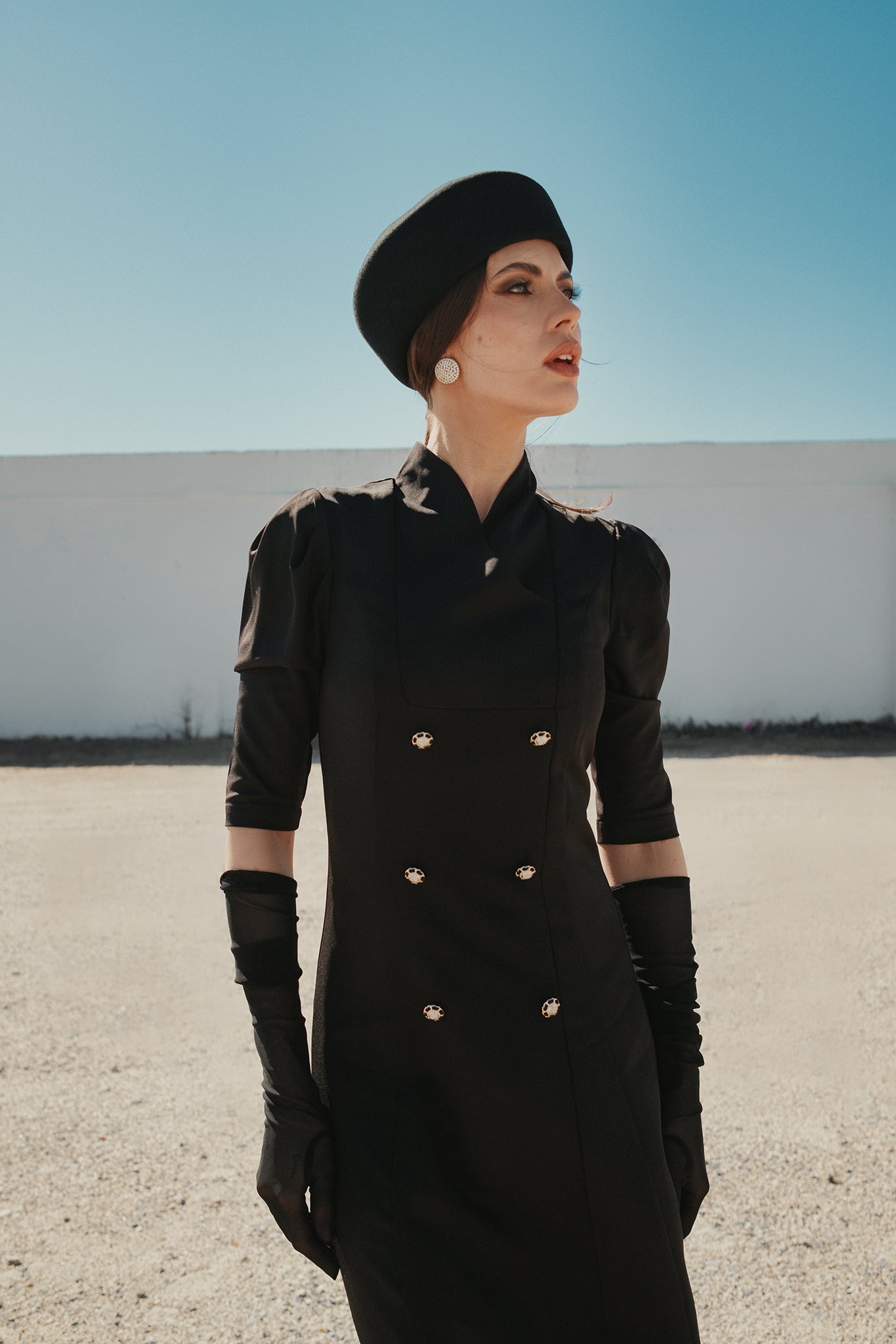 The Collar Renouveau Dress