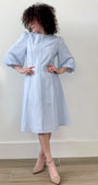Rose Dress Baby Blue